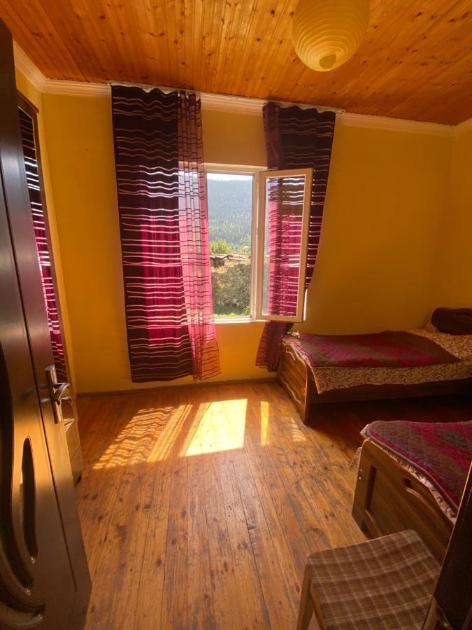 Hotel Shaulini Kashveti Esterno foto
