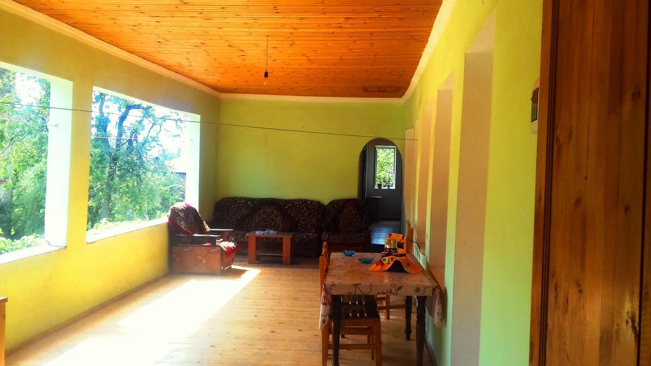 Hotel Shaulini Kashveti Esterno foto